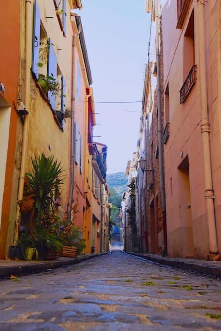 Au Coeur De Ville Avec Terrasse Céret Eksteriør bilde