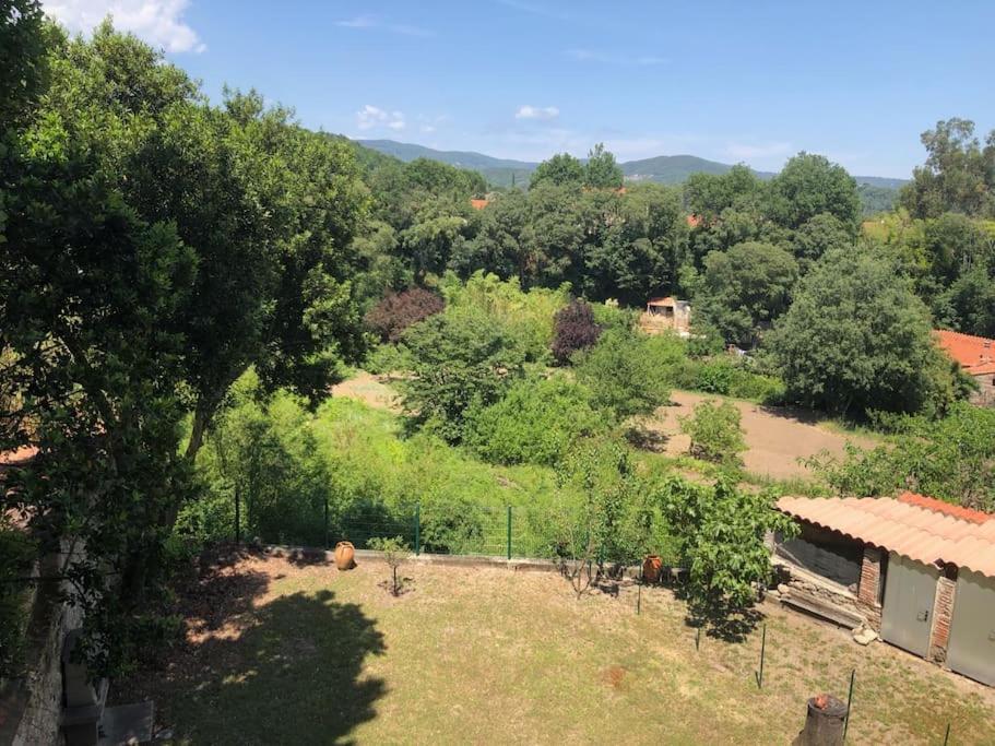 Au Coeur De Ville Avec Terrasse Céret Eksteriør bilde